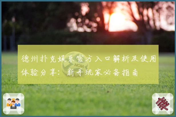 德州扑克娱乐官方入口解析及使用体验分享：新手玩家必备指南