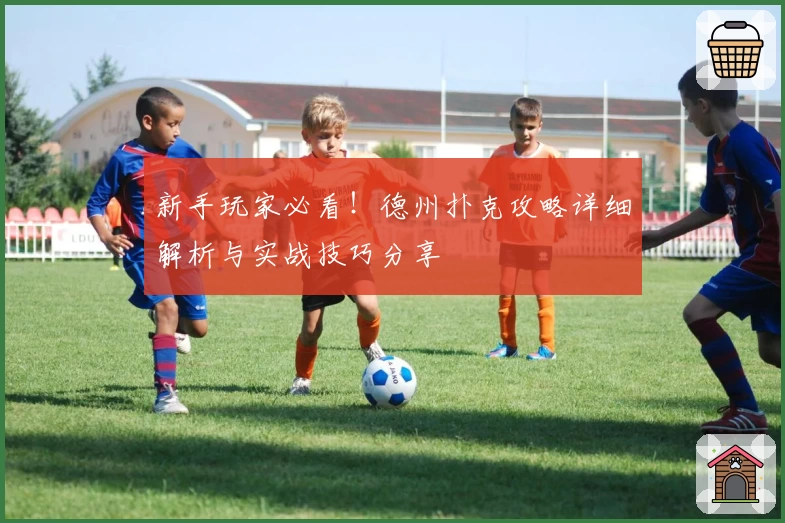 新手玩家必看！德州扑克攻略详细解析与实战技巧分享