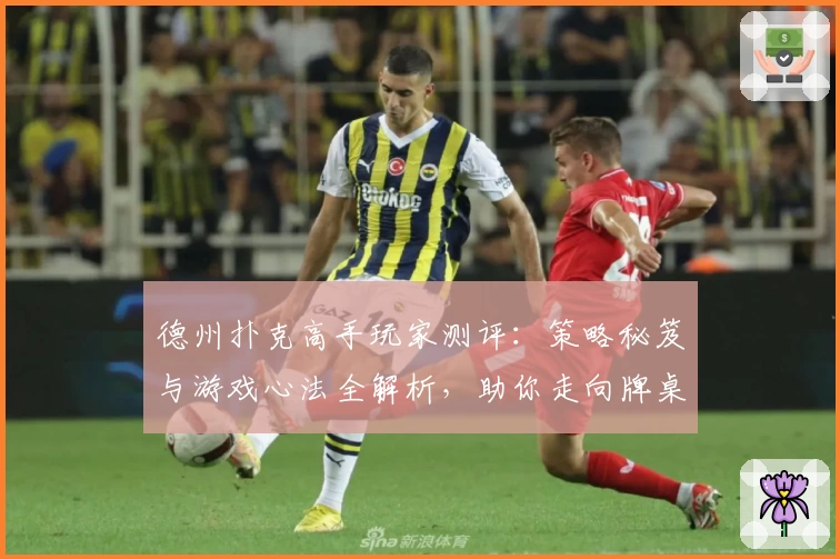 德州扑克高手玩家测评：策略秘笈与游戏心法全解析，助你走向牌桌巅峰