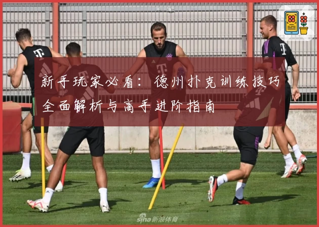 新手玩家必看：德州扑克训练技巧全面解析与高手进阶指南